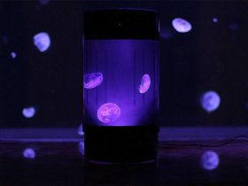 水母艺术:水母台灯